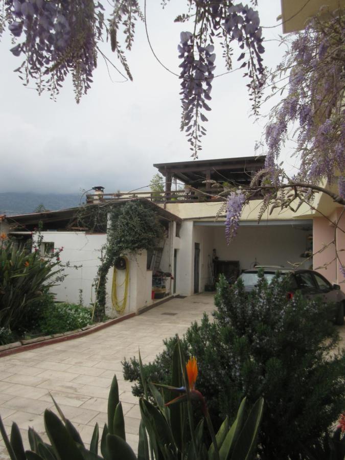 Su Pasu B&B Orosei Εξωτερικό φωτογραφία